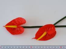 Umělý květ - Anturie červená 1 ks
