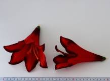 Umělý květ - Lilie červená 1 ks