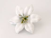 Umělý květ Poinsettia s klipem 1 ks