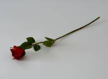 Umělý květ - Růže červená 1 ks