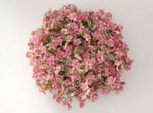 Umělý věnec prům. 25 cm - Gipsophila RŮŽOVÁ