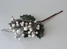 Větvička s bílými bobulemi a stříbrnými listy